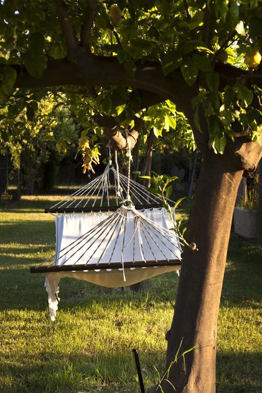 Agriturismo Terrenia Villa Trappitello Eksteriør billede