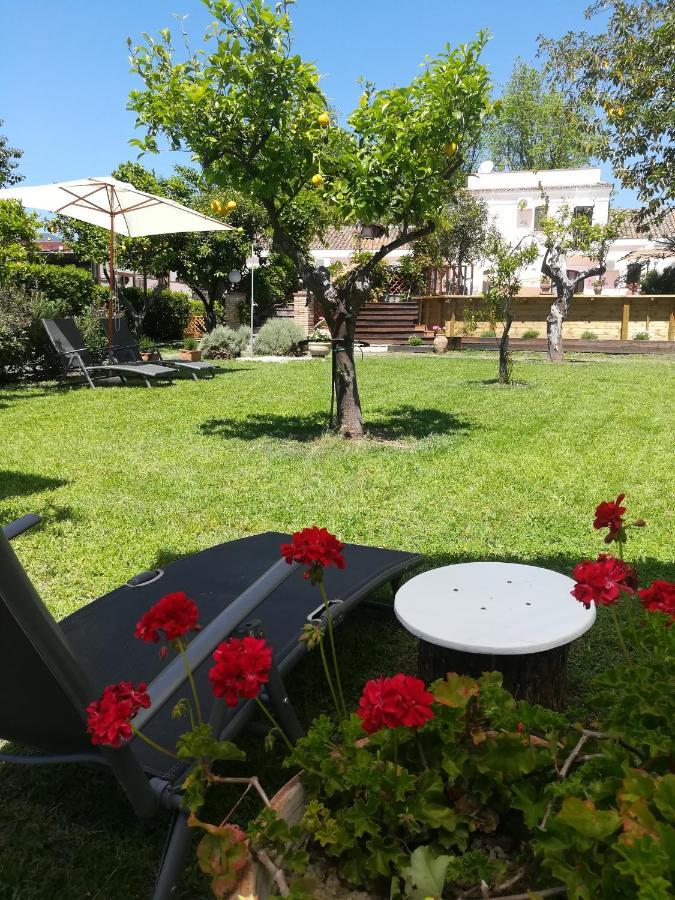 Agriturismo Terrenia Villa Trappitello Eksteriør billede